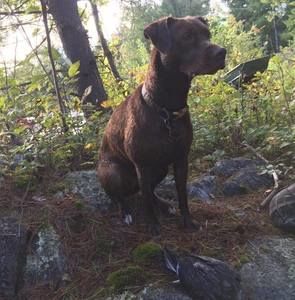 Meet your Posher, Christine